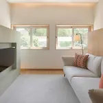 Dixo's Duplex *